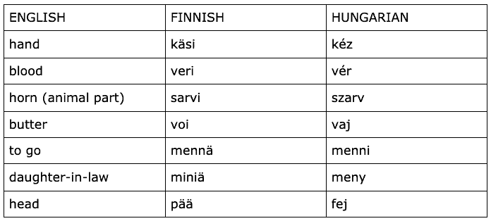 Finnish-Hungarian cognates