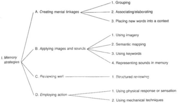 memory strategies for language learning