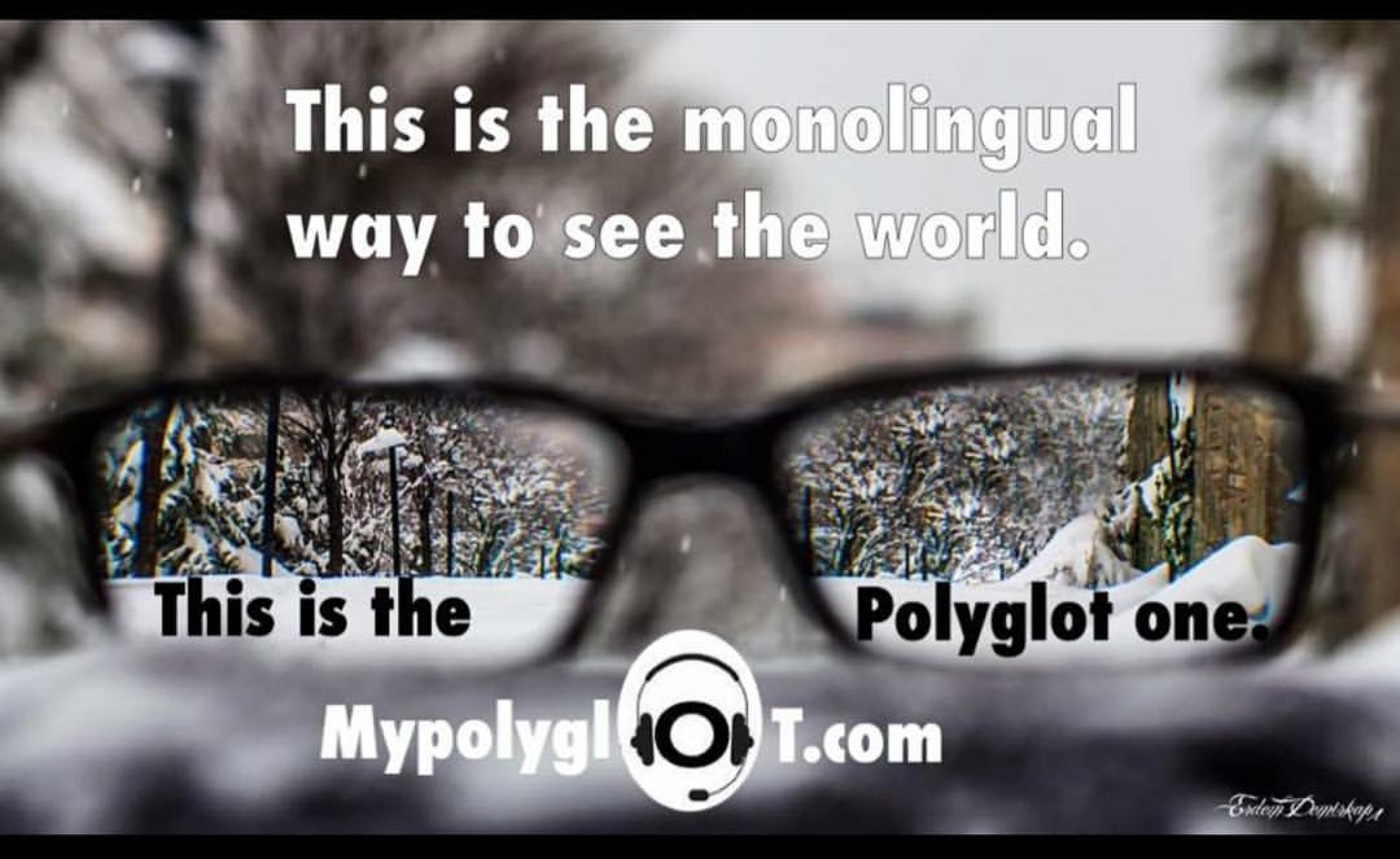 Kato Lomb reading method of learning languages English Coach Online